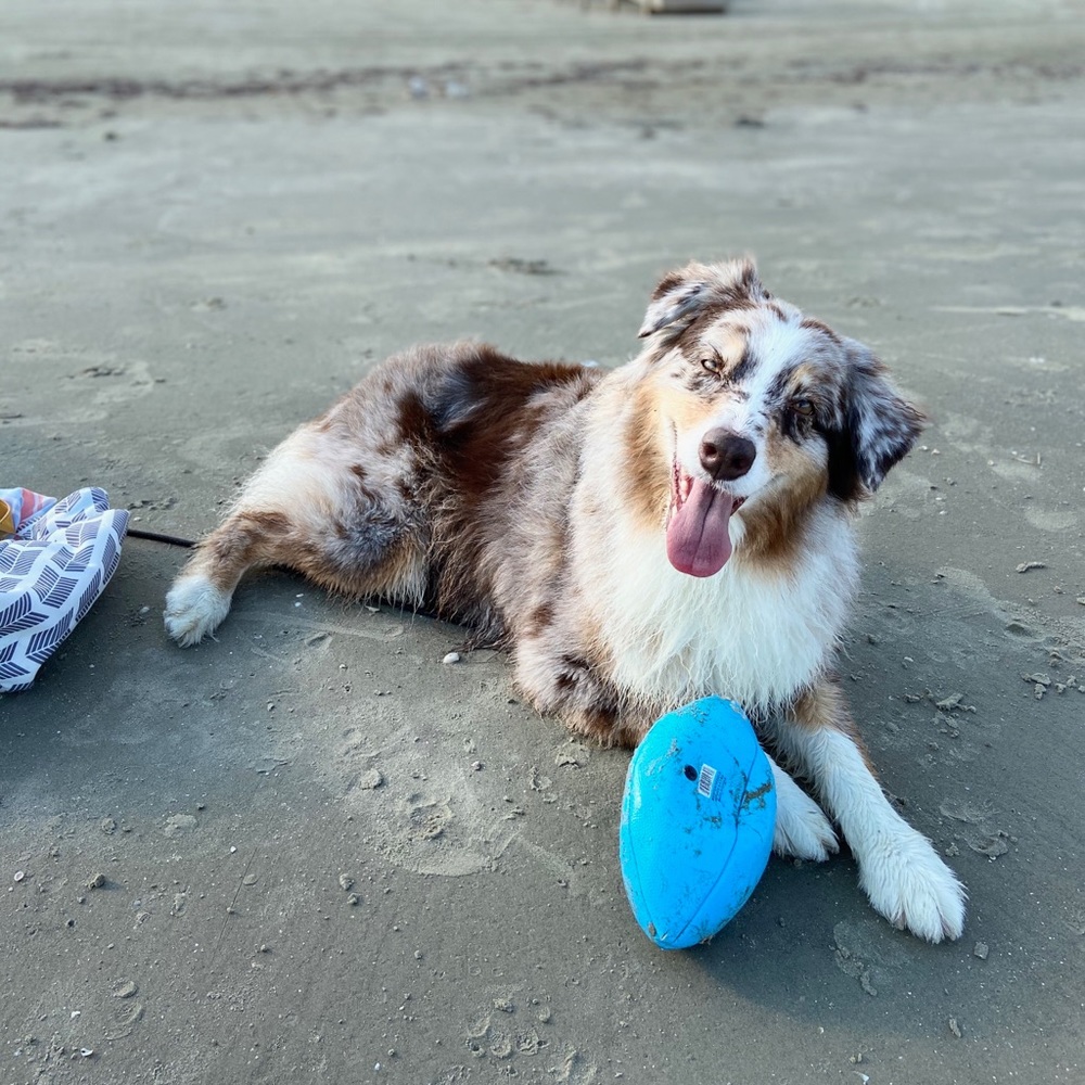 Meet your Posher, Cayley